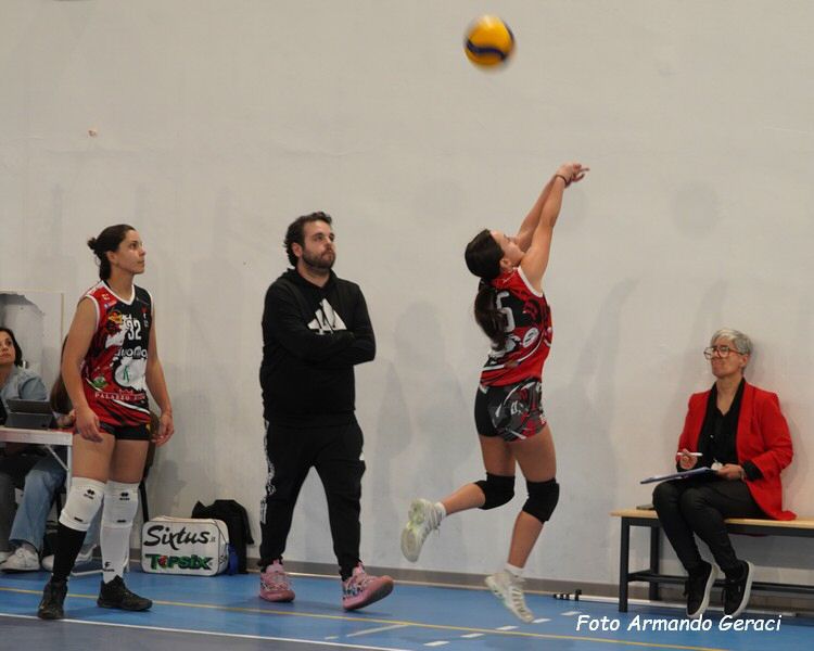 DSC03230y_tn.jpg