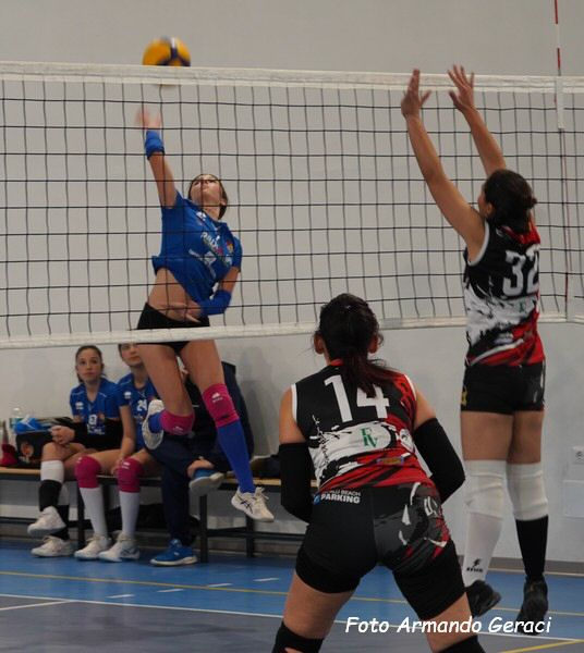 DSC03231y_tn.jpg