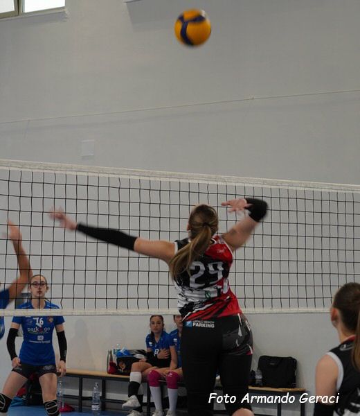 DSC03237y_tn.jpg