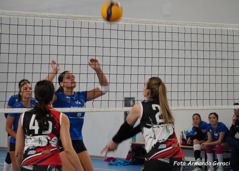 DSC03242y_tn.jpg