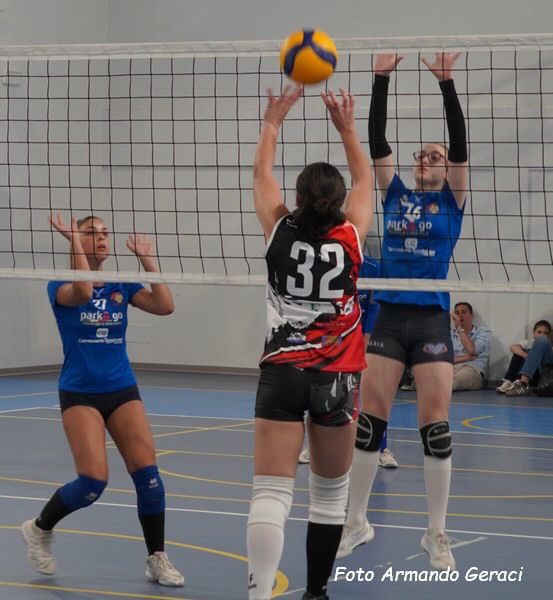 DSC03311y_tn.jpg