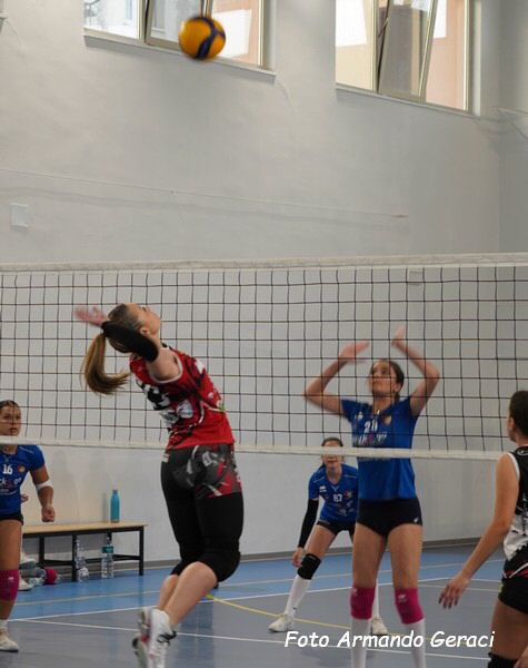 DSC03331y_tn.jpg