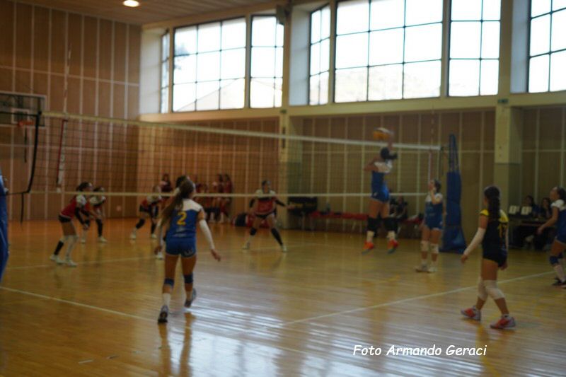 DSC08804_tn.jpg
