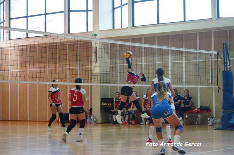 DSC08817_tn.jpg