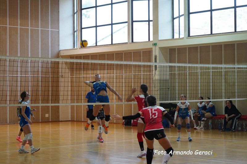 DSC08847_tn.jpg