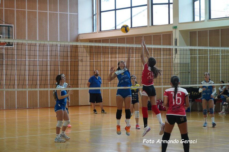 DSC08851_tn.jpg