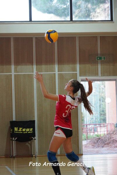 DSC08854_tn.jpg