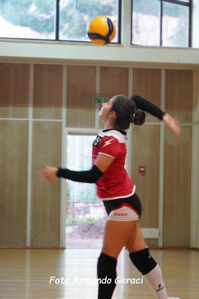DSC08860_tn.jpg