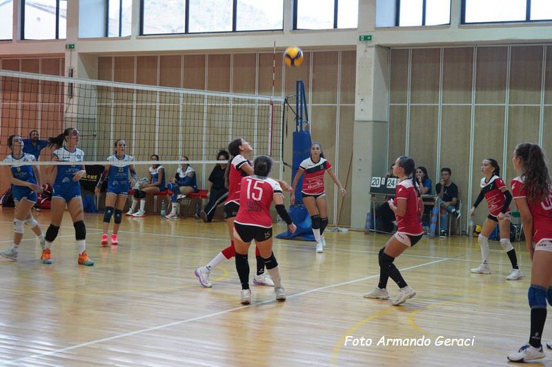 DSC08867_tn.jpg