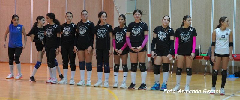DSC02382y_tn.jpg