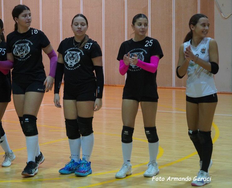 DSC02384y_tn.jpg