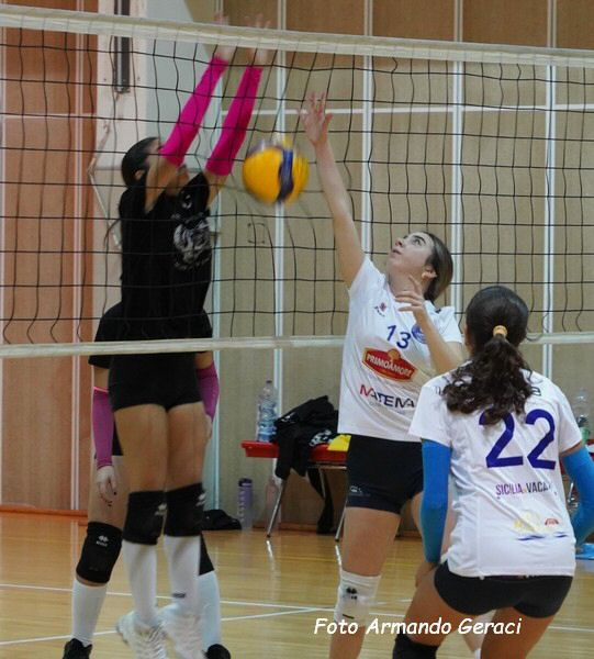 DSC02395y_tn.jpg