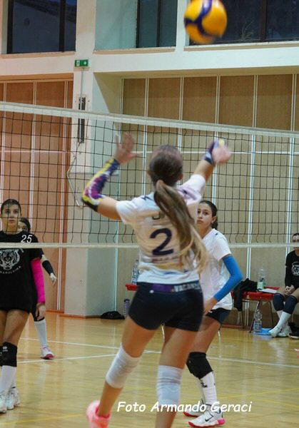 DSC02401y_tn.jpg