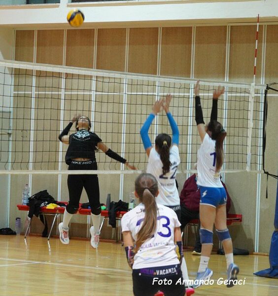 DSC02402y_tn.jpg