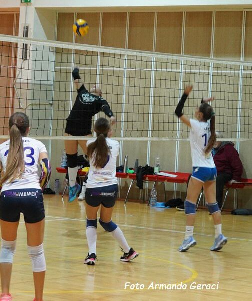 DSC02414y_tn.jpg