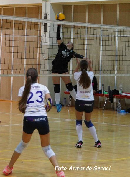 DSC02418y_tn.jpg