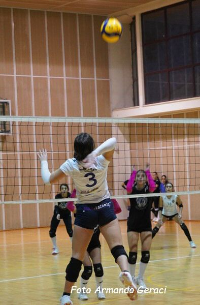 DSC02429y_tn.jpg