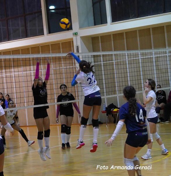 DSC02431y_tn.jpg