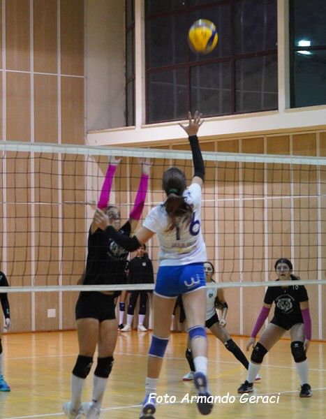 DSC02433y_tn.jpg