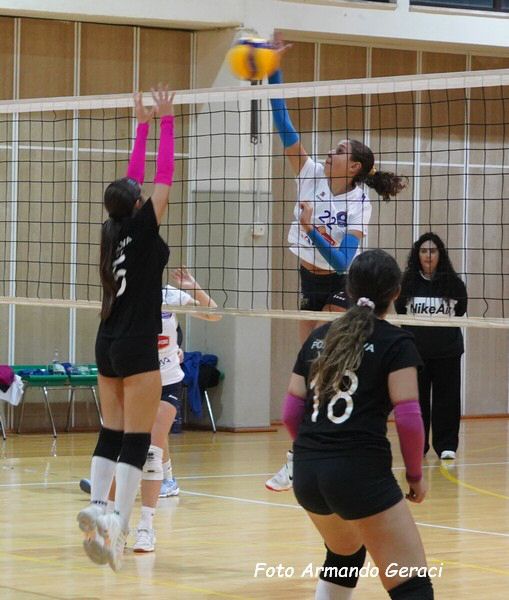 DSC02439y_tn.jpg