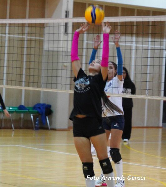 DSC02443y_tn.jpg