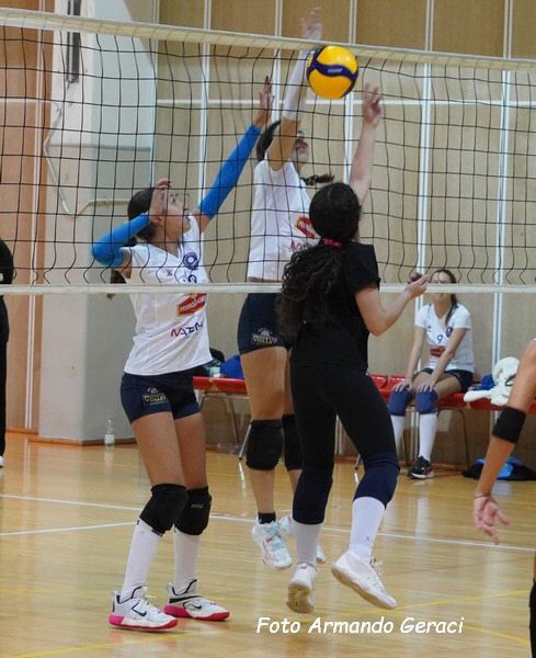 DSC02476y_tn.jpg