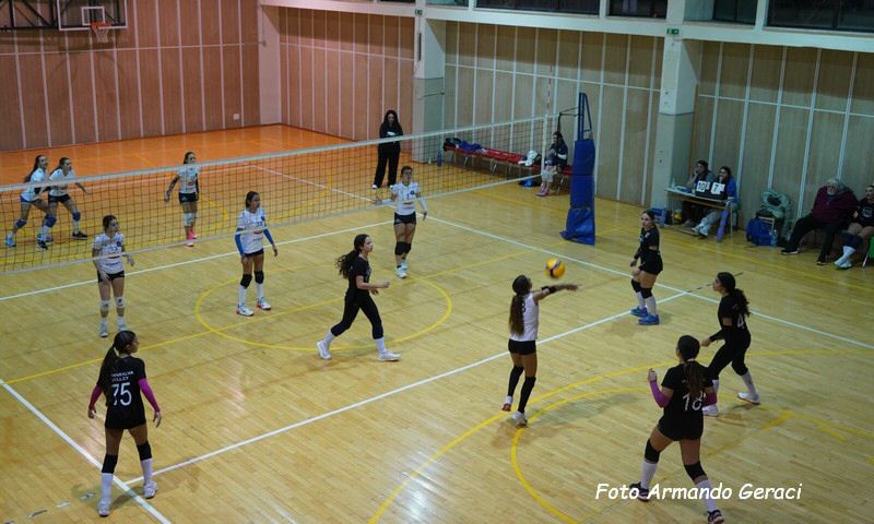 DSC02483y_tn.jpg