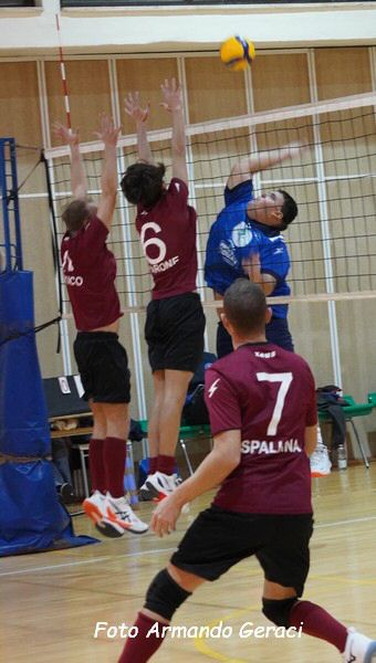 DSC02517y_tn.jpg