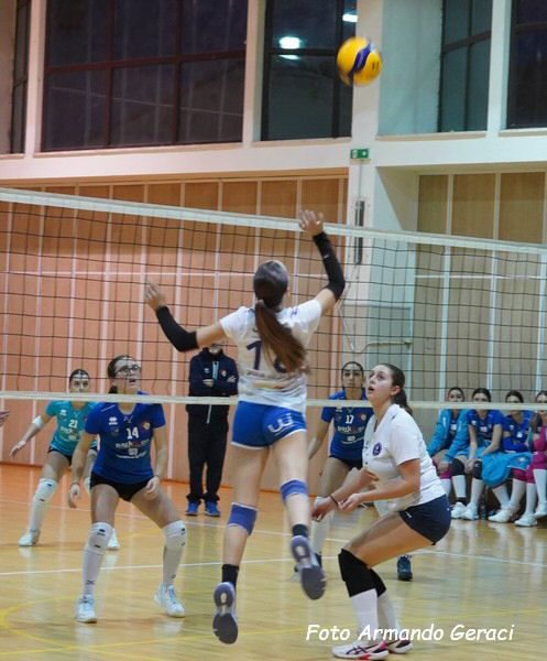 DSC06735y_tn.jpg