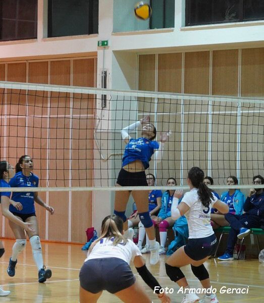 DSC06767y_tn.jpg