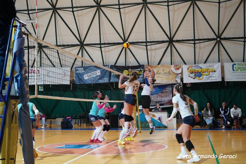 DSC08859_tn.jpg