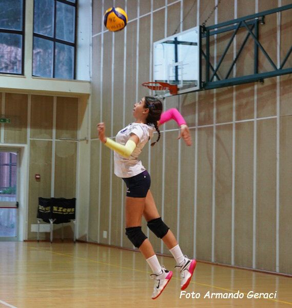 DSC00294y_tn.jpg
