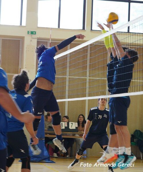 DSC00697y_tn.jpg