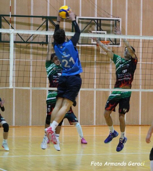 DSC01816y_tn.jpg