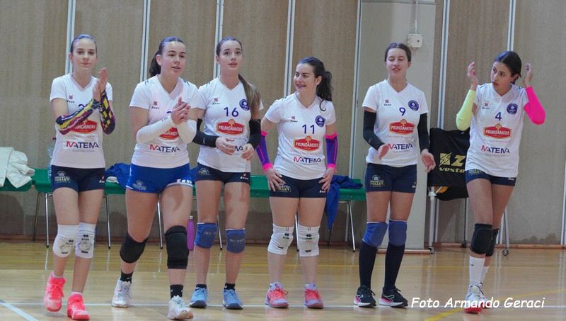 DSC01916Y_tn.jpg