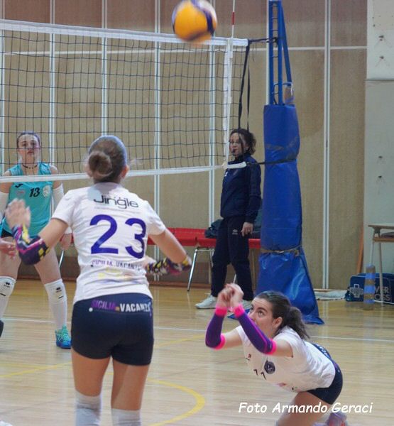 DSC01931Y_tn.jpg