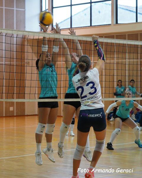 DSC01934Y_tn.jpg