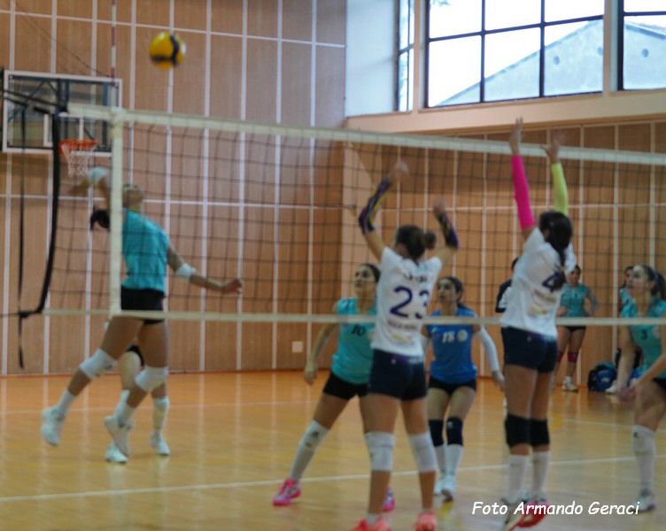 DSC01936Y_tn.jpg