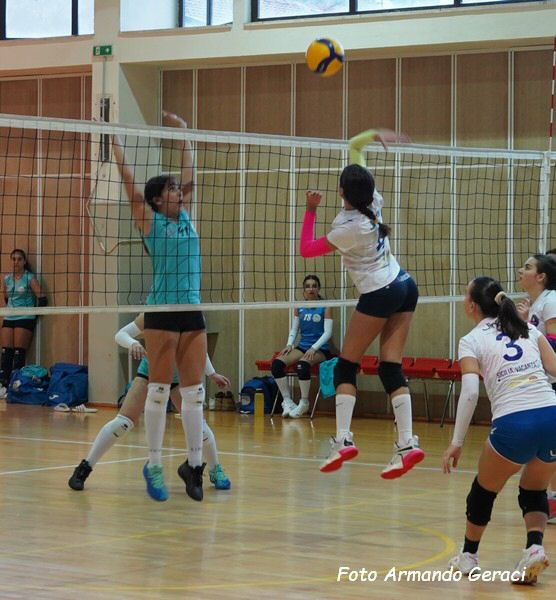 DSC01941Y_tn.jpg