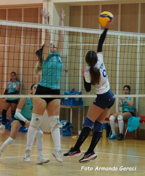 DSC01957Y_tn.jpg
