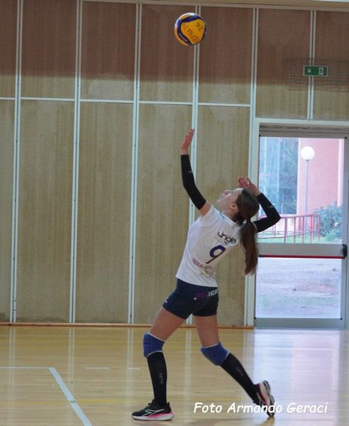 DSC01961Y_tn.jpg