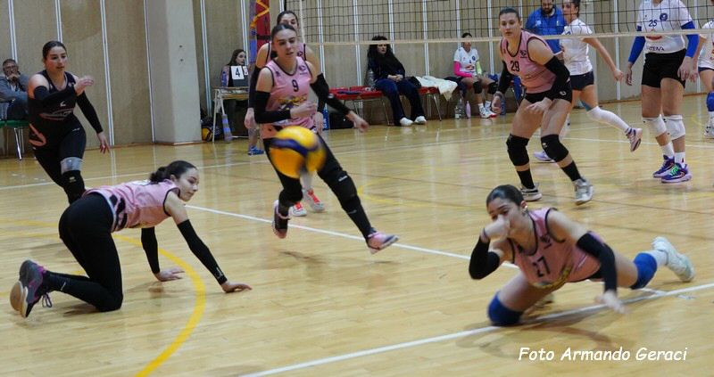 DSC02739y_tn.jpg