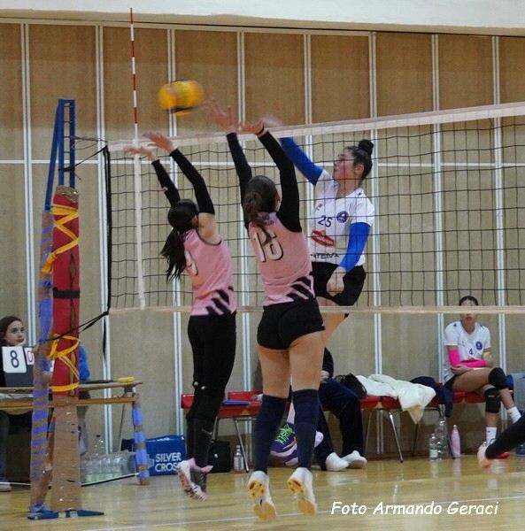 DSC02746y_tn.jpg
