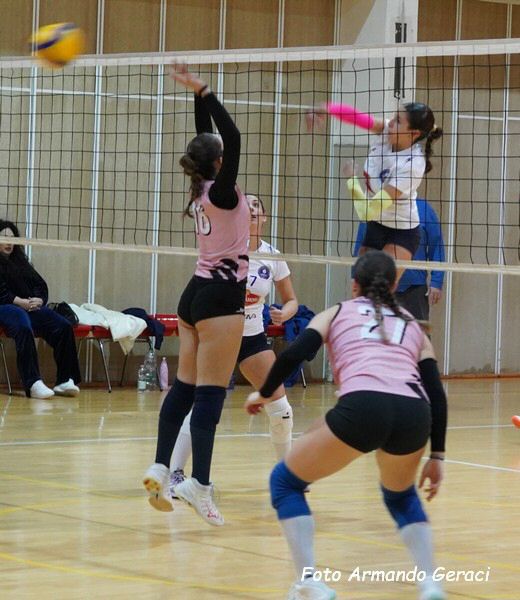 DSC02750y_tn.jpg