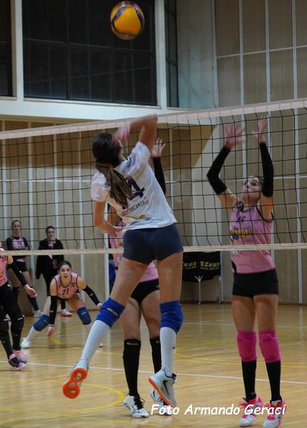 DSC02788y_tn.jpg