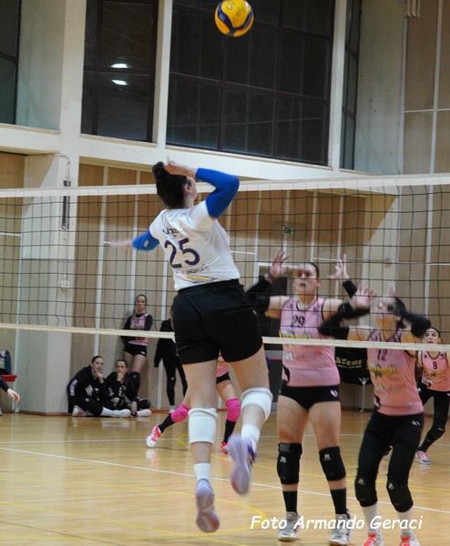 DSC02798y_tn.jpg