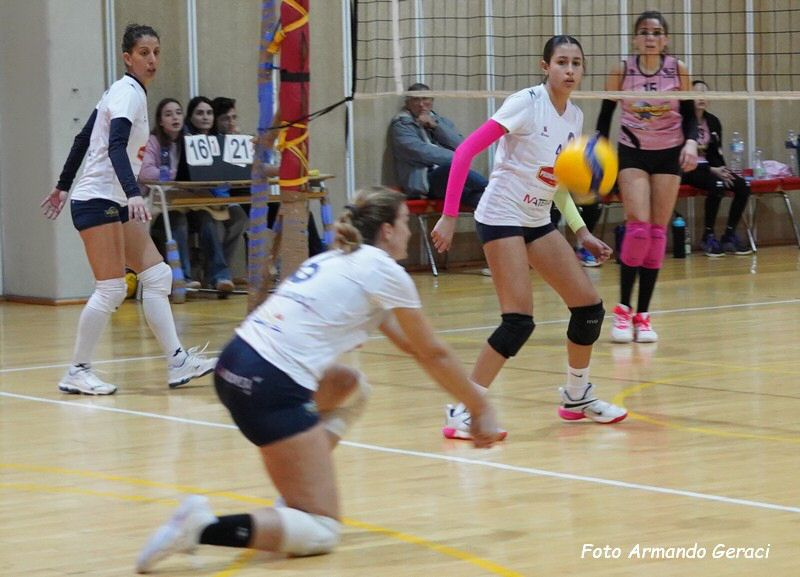 DSC02816y_tn.jpg