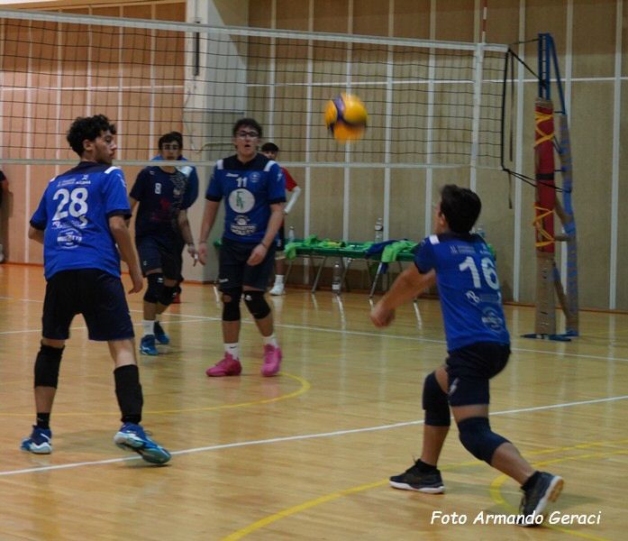 DSC03556y_tn.jpg