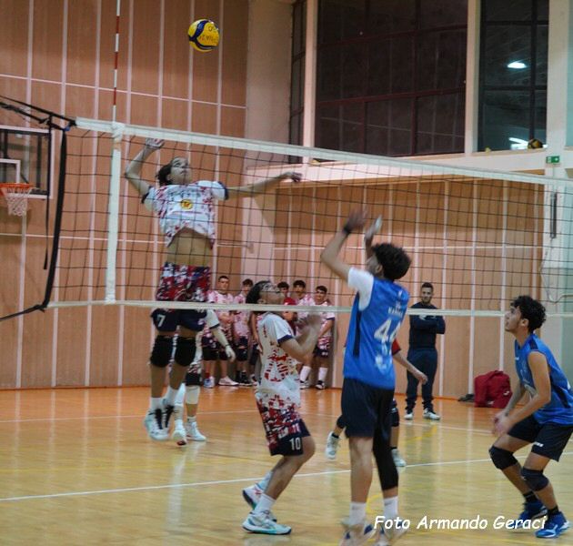 DSC03702y_tn.jpg
