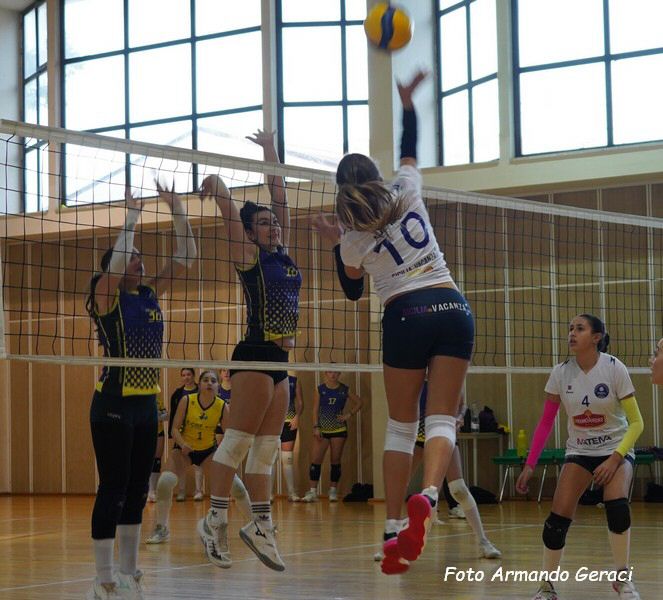 DSC04360y_tn.jpg
